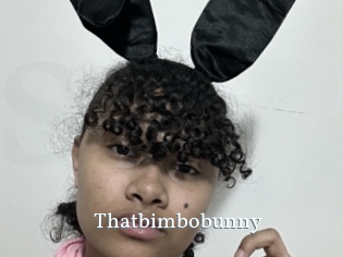Thatbimbobunny
