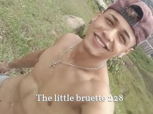 The_little_bruette_228