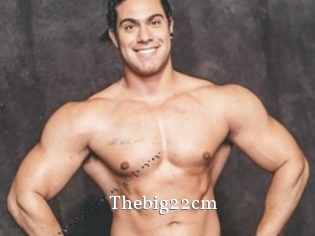 Thebig22cm