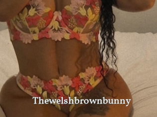 Thewelshbrownbunny