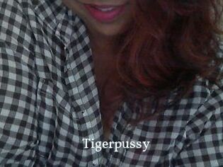 Tigerpussy