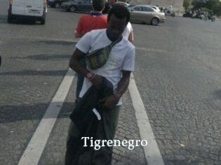 Tigrenegro