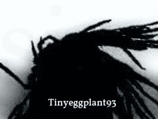 Tinyeggplant93