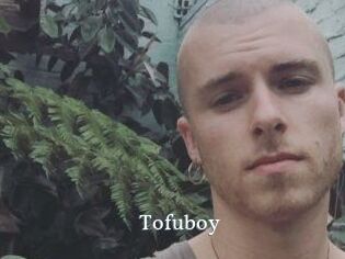 Tofu_boy
