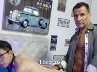 Toro_hot