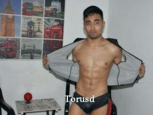 Torusd