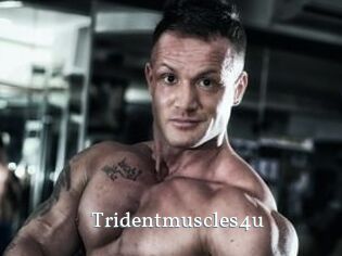 Tridentmuscles4u