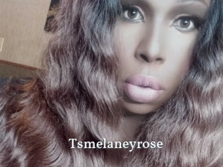 Tsmelaneyrose