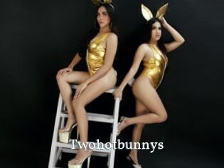 Twohotbunnys
