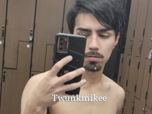 Twunkmikee