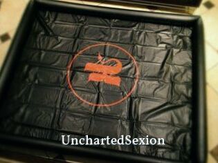UnchartedSexion