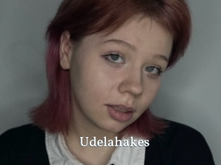 Udelahakes