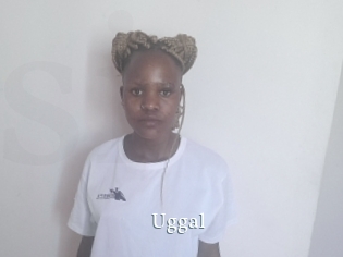 Uggal