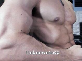 Unknown6699