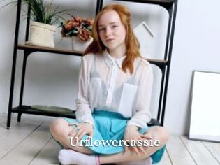 Urflowercassie