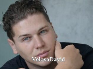 VelosaDavid