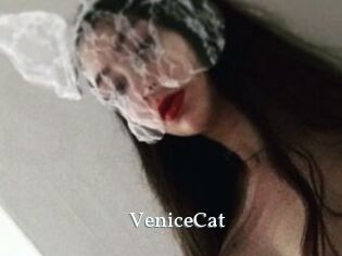 VeniceCat