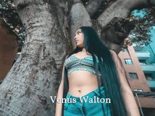 Venus_Walton