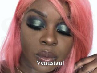 VenusianJ