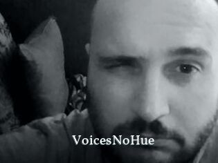 VoicesNoHue