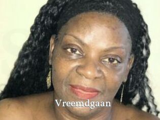 Vreemdgaan