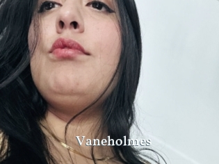 Vaneholmes