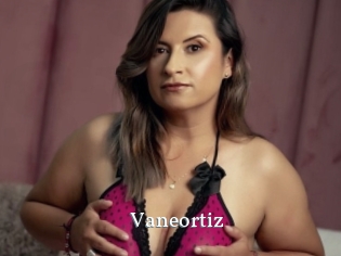 Vaneortiz