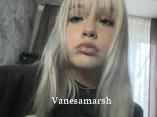 Vanesamarsh