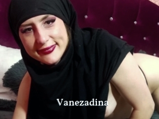 Vanezadina