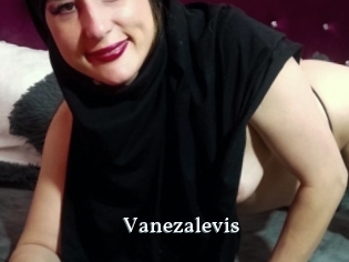 Vanezalevis