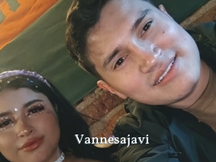 Vannesajavi