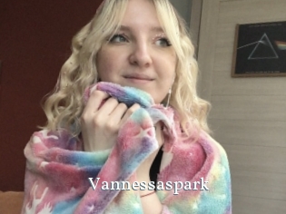 Vannessaspark