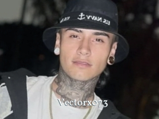 Vectorx073