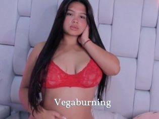 Vegaburning