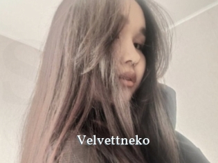 Velvettneko