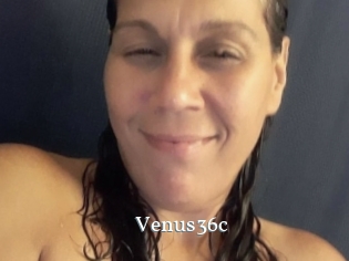 Venus36c