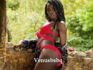 Venusbsbq