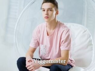 Viggomister