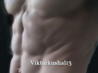Viktarkushal13