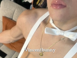 Vincentbunny
