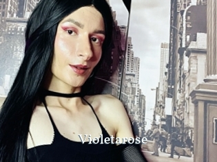 Violetarose
