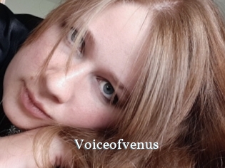 Voiceofvenus
