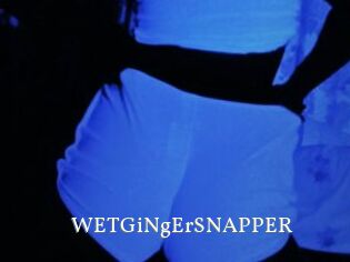 WETGiNgErSNAPPER