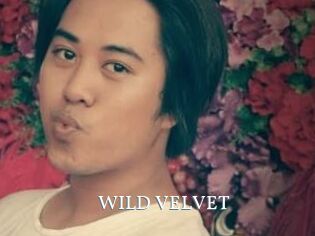 WILD_VELVET