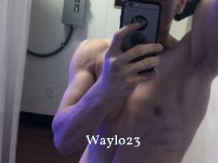 Waylo23
