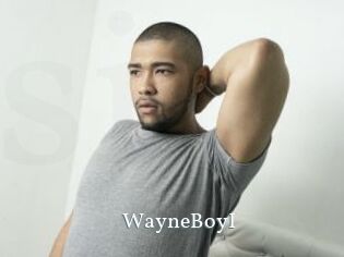 WayneBoyI