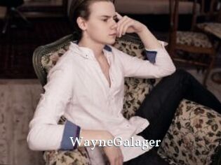 WayneGalager