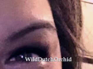 WildDutchOrchid