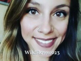 WildFlower023