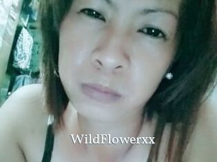 WildFlowerxx